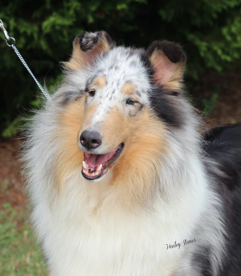 Rainsmile