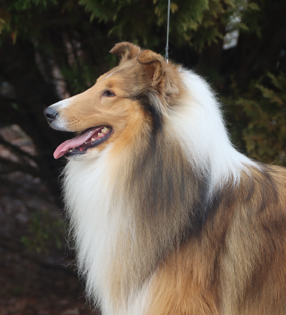 Rendell profile4