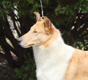 Rileyprofile